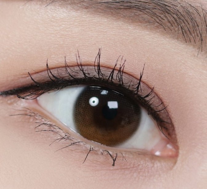 Olola Daymood Brown (10p) colored contact lens, 13.1mm graphic diameter, Daily wear