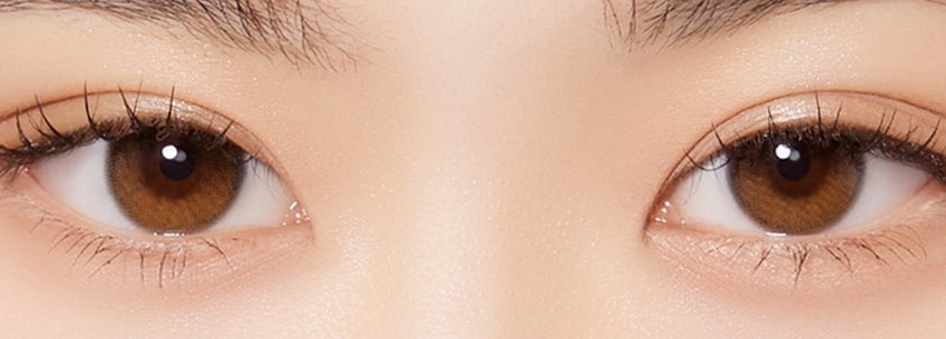 Olola Daymood Brown (10p) colored contact lens, 13.1mm graphic diameter, Daily wear