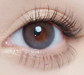 Olola Daymood Gray (10p) colored contact lens, 13.1mm graphic diameter, Daily wear