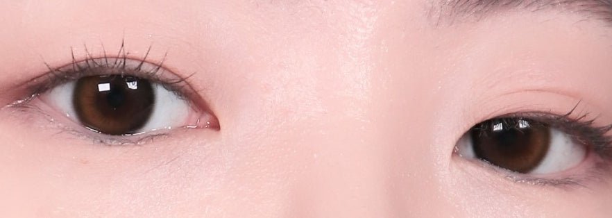 Olola Daymood Brown colored contact lens, 13.3mm graphic diameter, 3-6 Months wear
