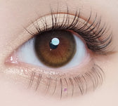 Olola Daymood Brown colored contact lens, 13.3mm graphic diameter, 3-6 Months wear