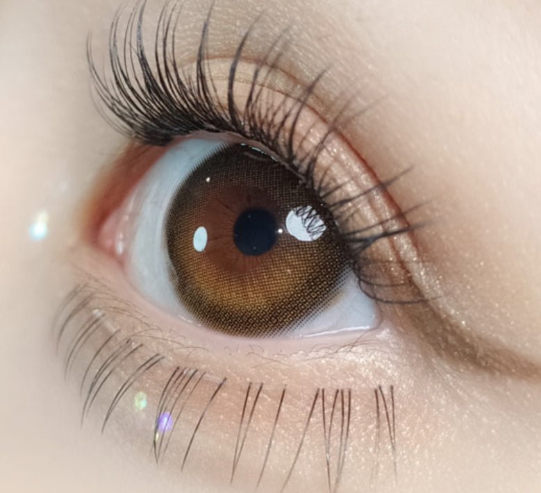 Olola Daymood Brown colored contact lens, 13.3mm graphic diameter, 3-6 Months wear