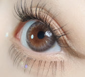 Olola Dazzling Ice Gray (10p) colored contact lens, 13.1mm graphic diameter, Daily wear