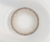 Olola Dearsome Ash Gray — monthly colored contact lenses, 13.1mm graphic diameter