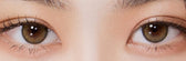 Olola Dearsome Olive Green — monthly colored contact lenses, 13.1mm graphic diameter