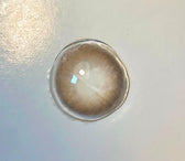 Olola Mellows Muse Brown (10p) colored contact lens, 13.1mm graphic diameter, Daily wear
