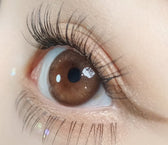 Olola Mellows Muse Brown (10p) colored contact lens, 13.1mm graphic diameter, Daily wear