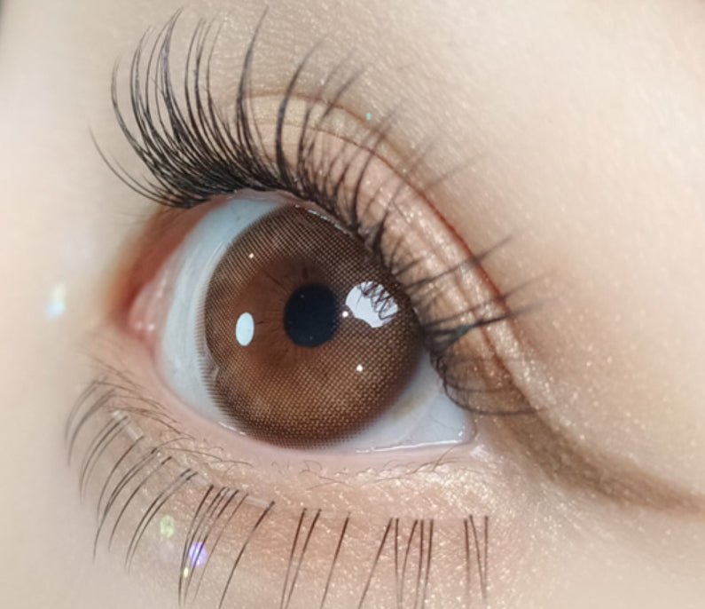 Olola Mellows Muse Brown (10p) colored contact lens, 13.1mm graphic diameter, Daily wear