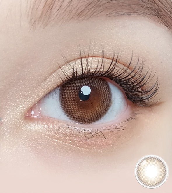 Olola Mellows Muse Brown (10p) colored contact lens, 13.1mm graphic diameter, Daily wear