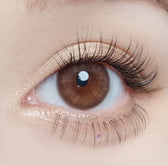 Olola Mellows Muse Brown (10p) colored contact lens, 13.1mm graphic diameter, Daily wear