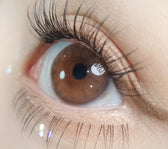 Olola Mellows Cotton Brown colored contact lens, 12.8mm graphic diameter, 3-6 Months wear
