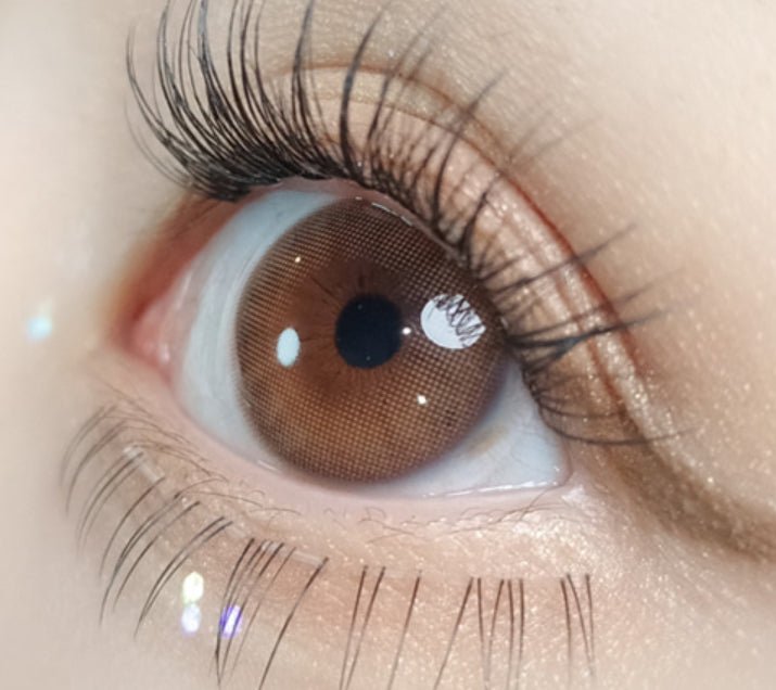 Olola Mellows Cotton Brown colored contact lens, 12.8mm graphic diameter, 3-6 Months wear