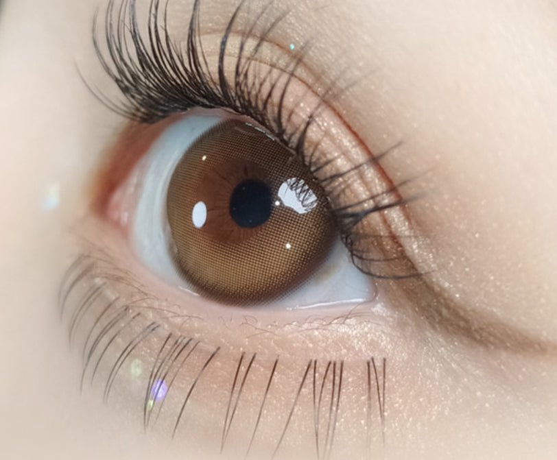 Olola Purity Shine Hazel Brown (10p) colored contact lens, 13.1mm graphic diameter, Daily wear