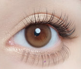Olola Purity Shine Hazel Brown (10p) colored contact lens, 13.1mm graphic diameter, Daily wear