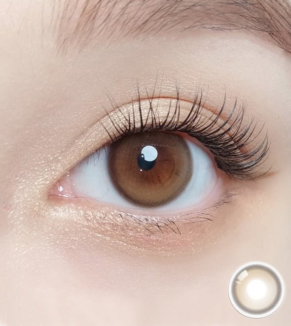 Olola Purity Shine Hazel Brown (10p) colored contact lens, 13.1mm graphic diameter, Daily wear