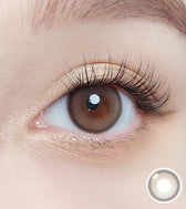 Olola Purity Shine Taupe Brown (10p) colored contact lens, 13.1mm graphic diameter, Daily wear