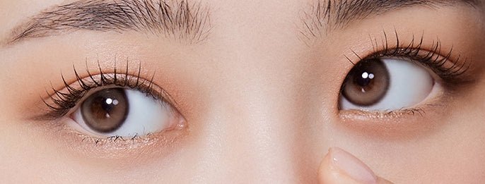 Olola Purity Shine Taupe Brown (10p) colored contact lens, 13.1mm graphic diameter, Daily wear
