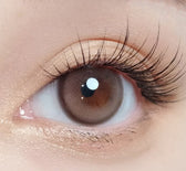 Olola Purity Shine Mauve Choco — monthly colored contact lenses, 13.2mm graphic diameter