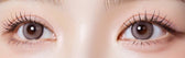 Olola Purity Shine Sheer Gray — monthly colored contact lenses, 13.2mm graphic diameter