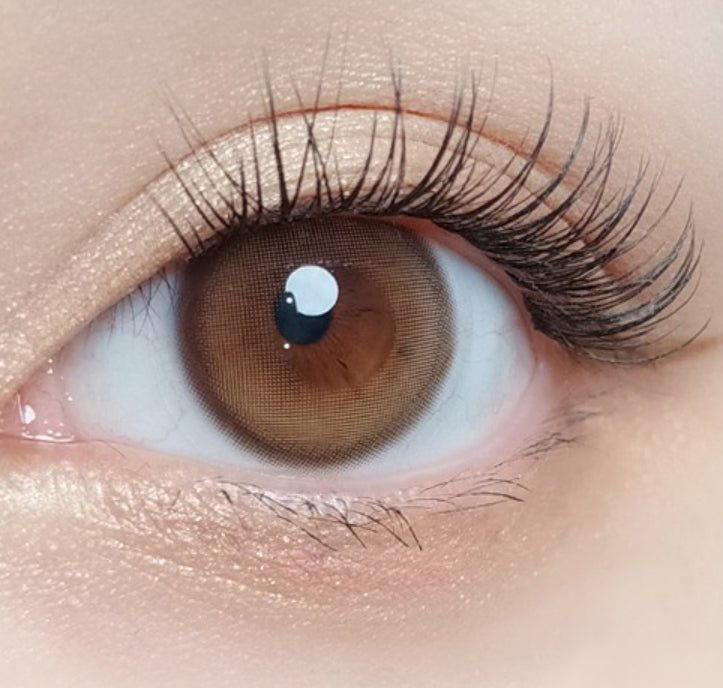 Olola Purity Shine Taupe Brown colored contact lens, 13.2mm graphic diameter, 3-6 Months wear