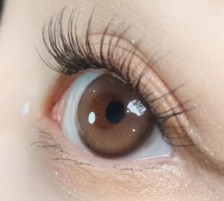 Olola Purity Shine Taupe Brown colored contact lens, 13.2mm graphic diameter, 3-6 Months wear