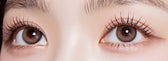 Olola Purity Shine Taupe Brown colored contact lens, 13.2mm graphic diameter, 3-6 Months wear