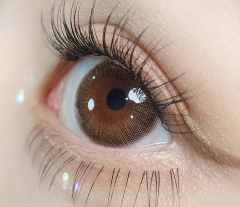 Olola Swany Pure Choco — monthly colored contact lenses, 13.3mm graphic diameter