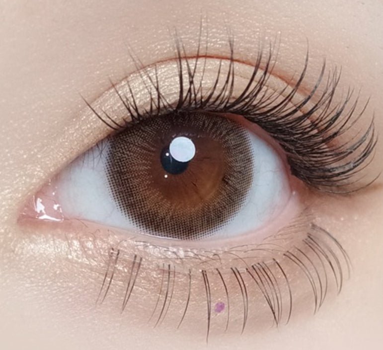 Olola Swany Pure Choco — monthly colored contact lenses, 13.3mm graphic diameter