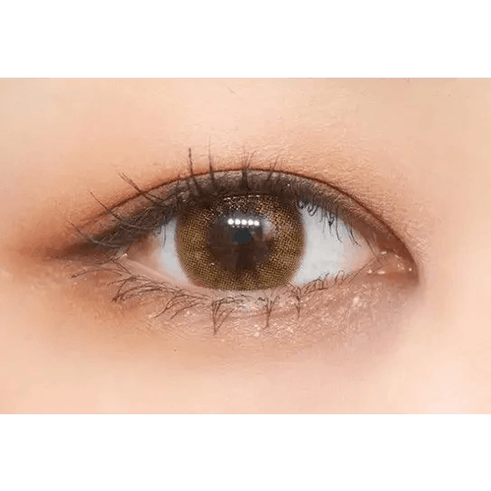 Olens Pearl Day Gold Brown — single-eye close-up showing the contact lens appearance
