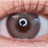LensVery Photogenic Taupe Gray (10p) — single-eye close-up showing the contact lens appearance