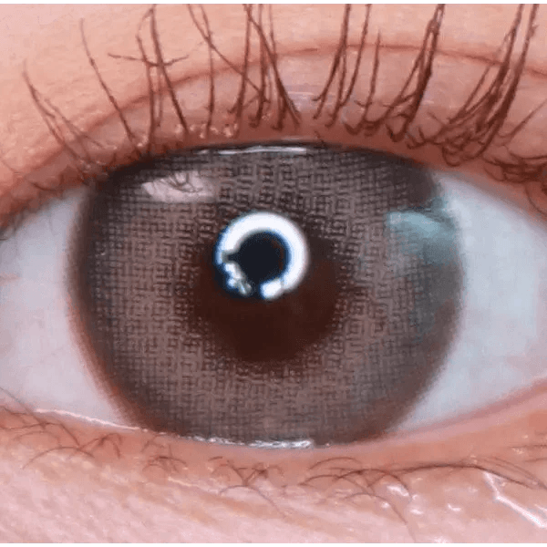 LensVery Photogenic Taupe Gray (10p) — single-eye close-up showing the contact lens appearance