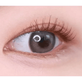 LensVery Photogenic Taupe Gray (10p) — single-eye close-up showing the contact lens appearance