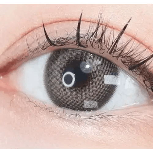 LensVery Photogenic Taupe Gray (10p) — single-eye close-up showing the contact lens appearance