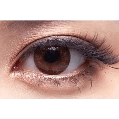 Olens Pi 2 Brown — single-eye close-up showing the contact lens appearance