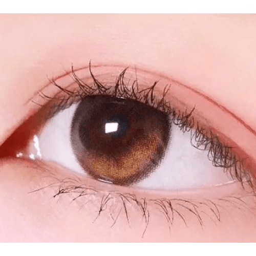 LensRang Planet 1Day Space Brown (5p) — single-eye close-up showing the contact lens appearance