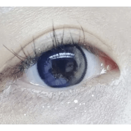LensRang Planet 1Day Space Gray (5p) — single-eye close-up showing the contact lens appearance