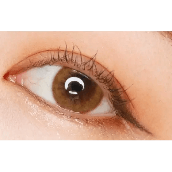 LensTown Pocopong Brown — single-eye close-up showing the contact lens appearance