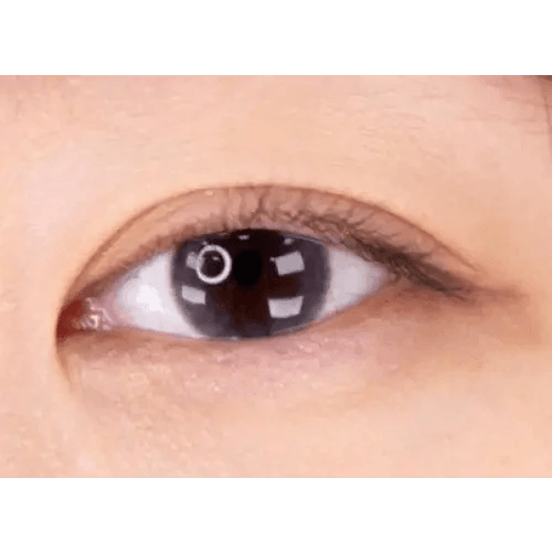 LensTown Pocopong Gray — single-eye close-up showing the contact lens appearance