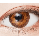 LensVery Poing Brown — single-eye close-up showing the contact lens appearance