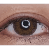 LensVery Poing Brown — single-eye close-up showing the contact lens appearance