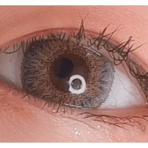 LensVery Poing Gray — single-eye close-up showing the contact lens appearance