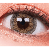 LensVery Poing Hazel Brown — single-eye close-up showing the contact lens appearance