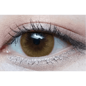 Olens Polla Brown — single-eye close-up showing the contact lens appearance