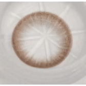 Olens Polla Choco — close-up of the contact lens design