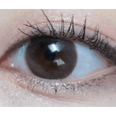 Olens Polla Choco — single-eye close-up showing the contact lens appearance