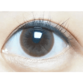 Olens Polla Choco — single-eye close-up showing the contact lens appearance