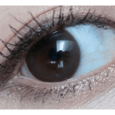 Olens Polla Choco — single-eye close-up showing the contact lens appearance