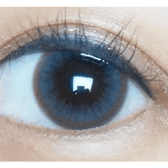Olens Polla Gray — single-eye close-up showing the contact lens appearance