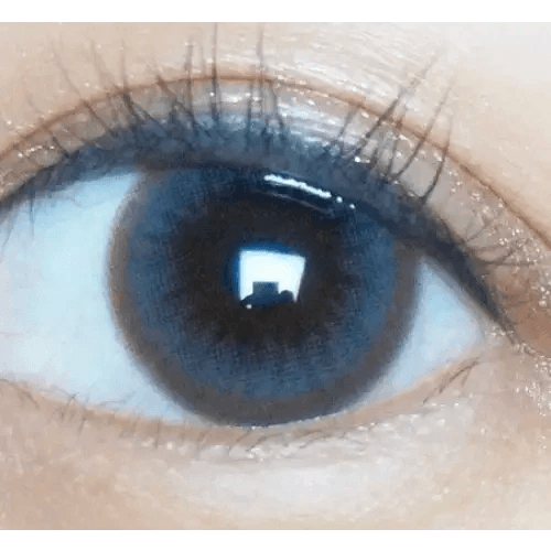 Olens Polla Gray — single-eye close-up showing the contact lens appearance