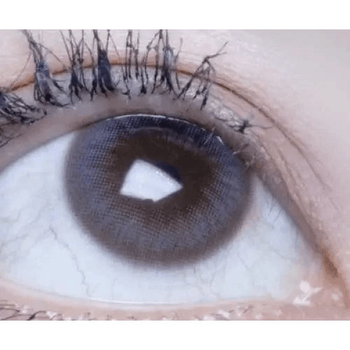 Olens Polla Gray — single-eye close-up showing the contact lens appearance